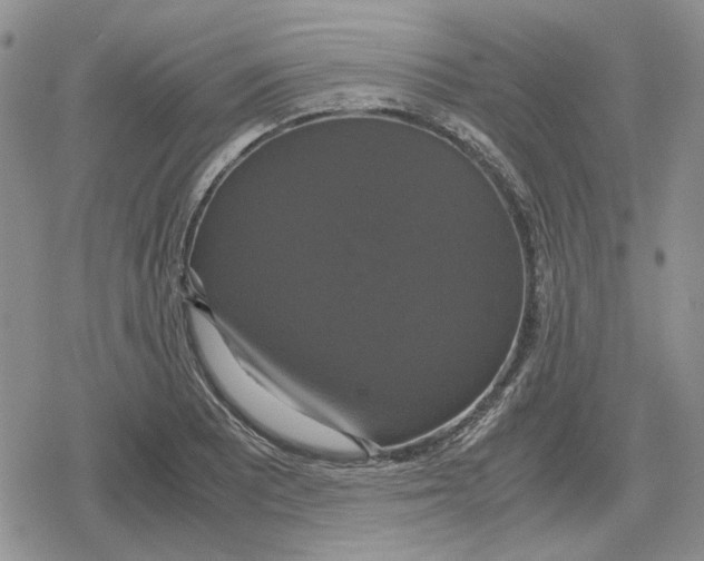 X0000079321081200612151811