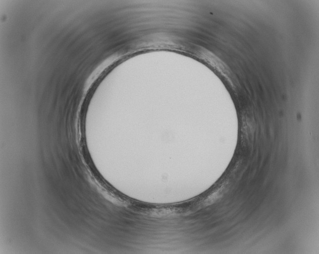 X0000079321082200612151811