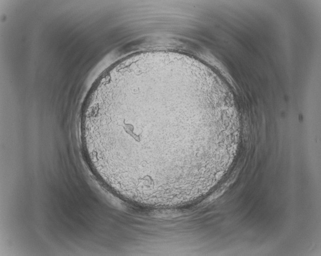 X0000079321083200612151811