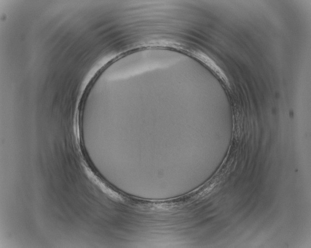 X0000079321084200612151811