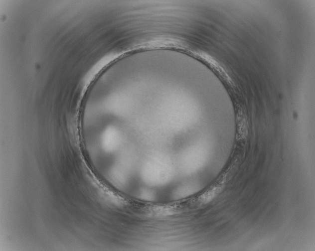 X0000079321086200612151811