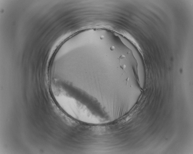 X0000079321088200612151811