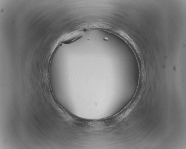 X0000079321089200612151811