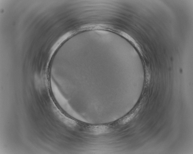 X0000079321090200612151811