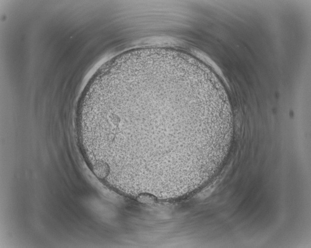 X0000079321091200612151811