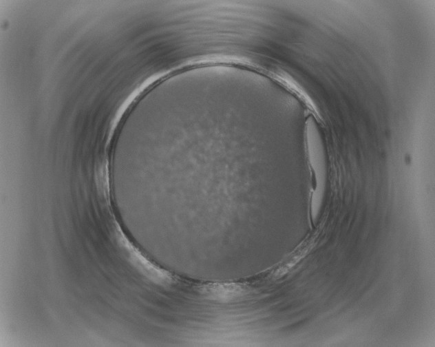 X0000079321092200612151811