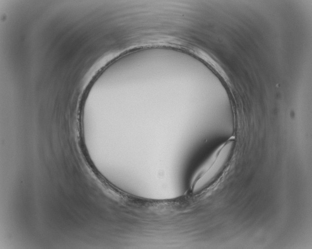 X0000079321093200612151811