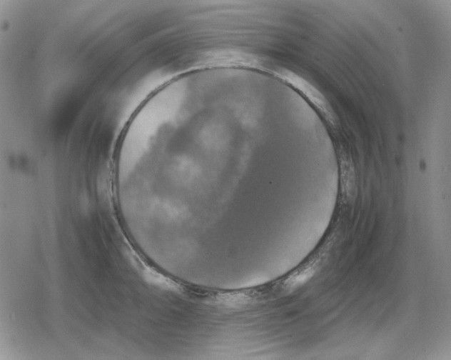 X0000079321094200612151811