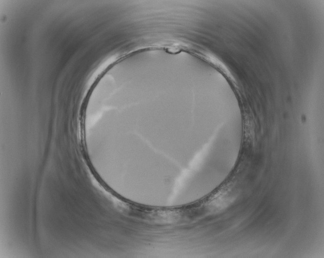 X0000079321095200612151811