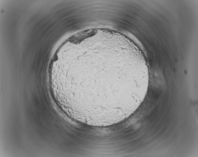 X0000079321096200612151811