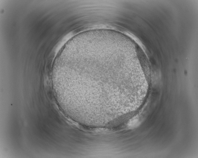 X0000079321097200612151811