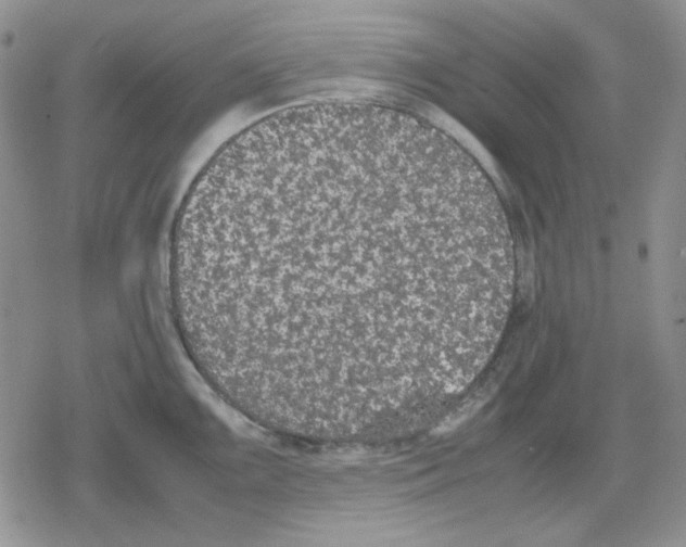 X0000079321099200612151811