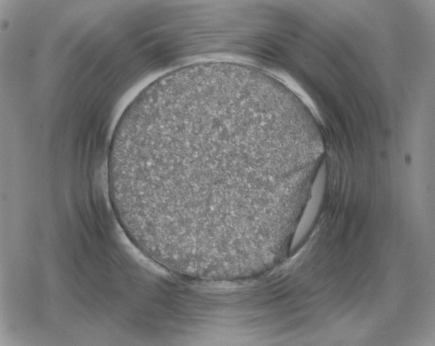 X0000079321100200612151811