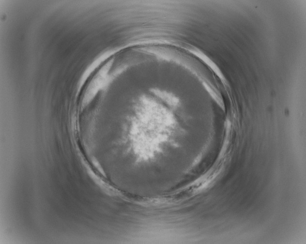 X0000079321101200612151811