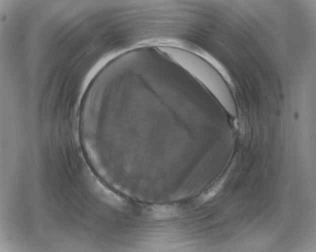 X0000079321102200612151811