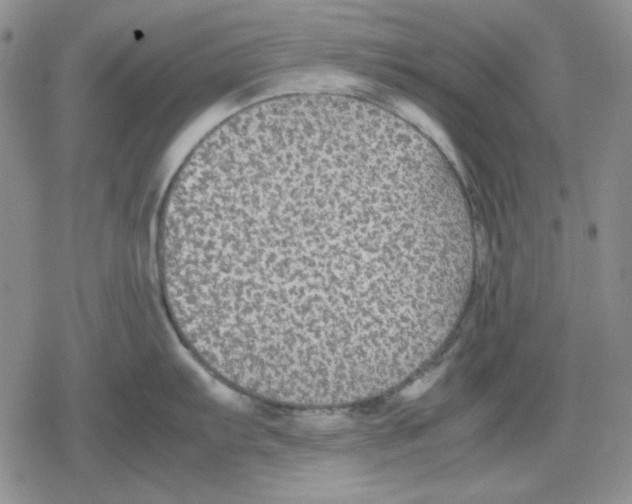 X0000079321103200612151811