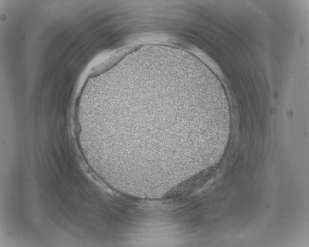 X0000079321104200612151811