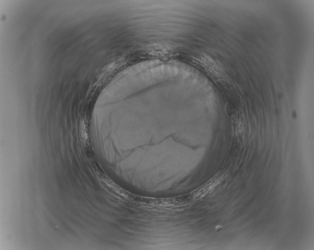 X0000079321106200612151810