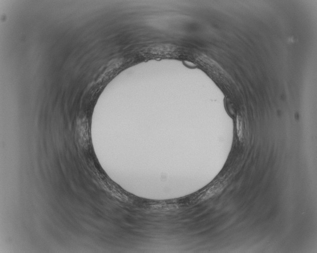 X0000079321107200612151810