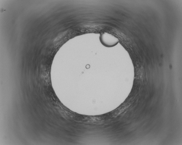 X0000079321109200612151810