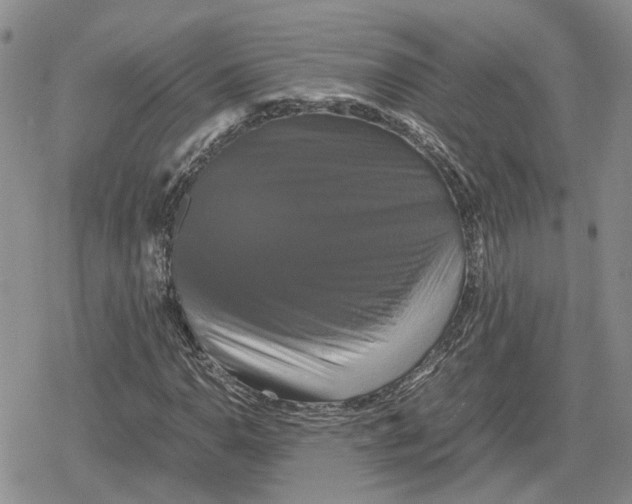 X0000079321110200612151810