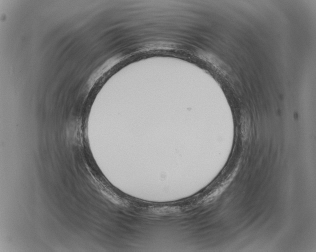 X0000079321113200612151810