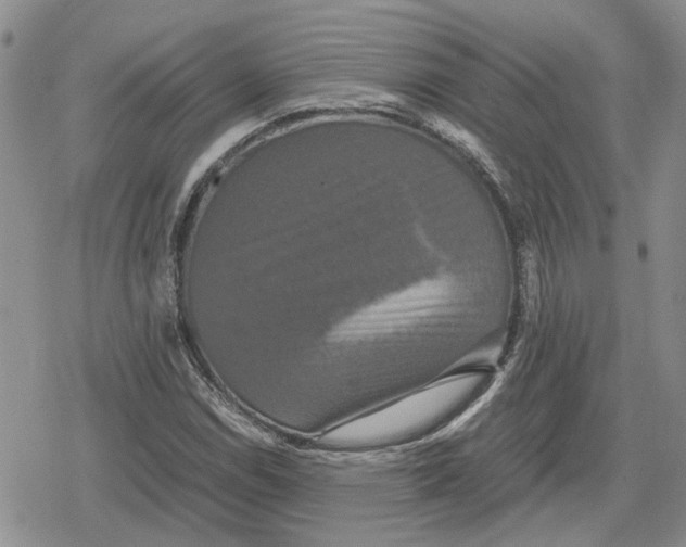 X0000079321114200612151810