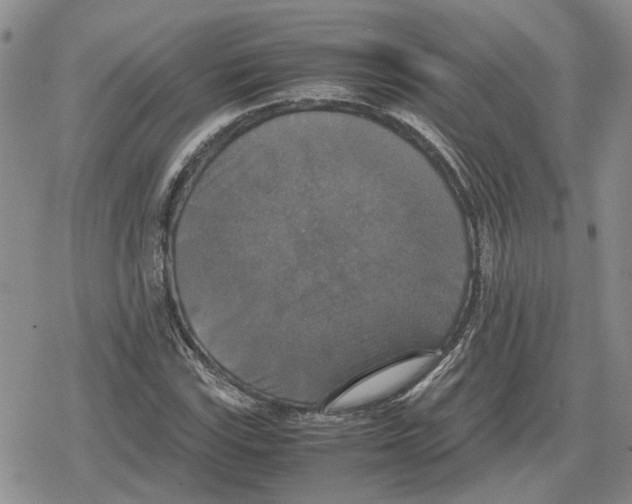 X0000079321115200612151810