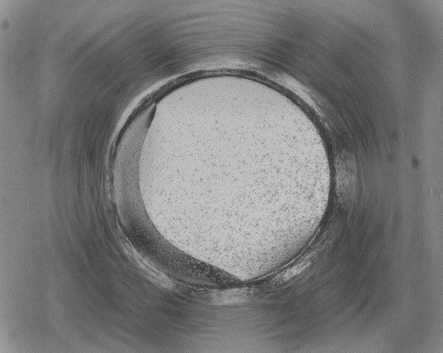 X0000079321116200612151810