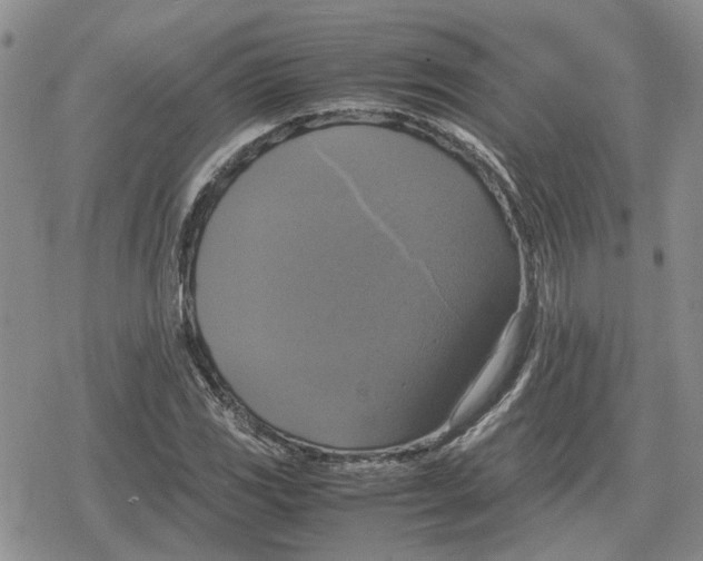 X0000079321117200612151810