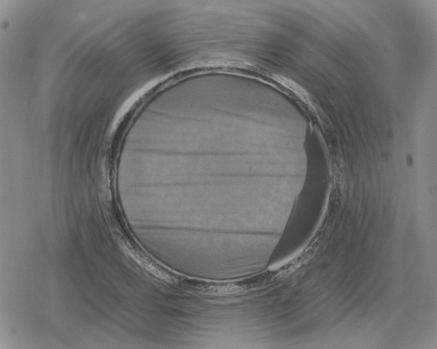 X0000079321120200612151810