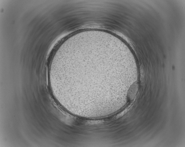 X0000079321123200612151810