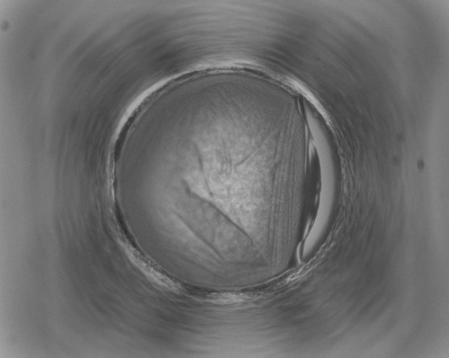 X0000079321124200612151810