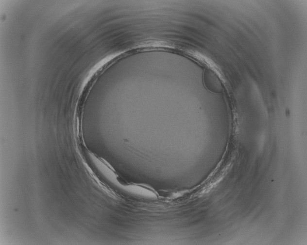 X0000079321125200612151810