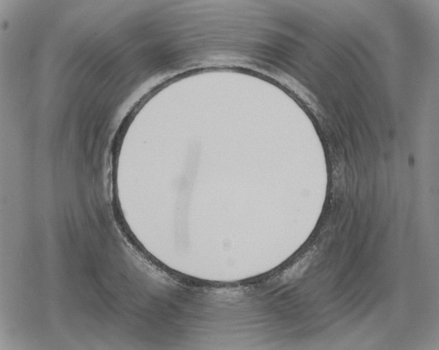 X0000079321126200612151810