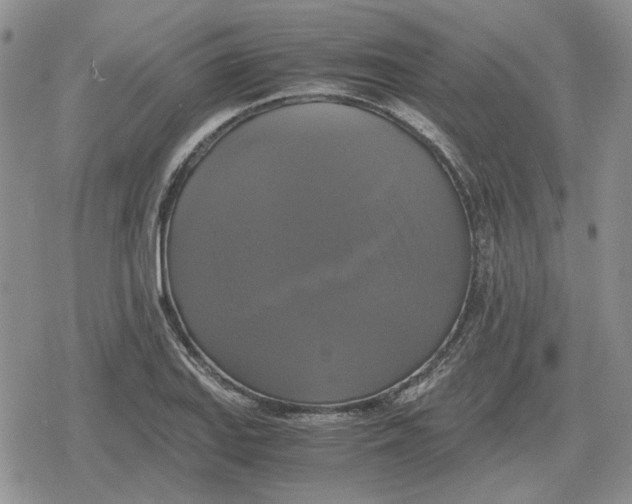 X0000079321127200612151810