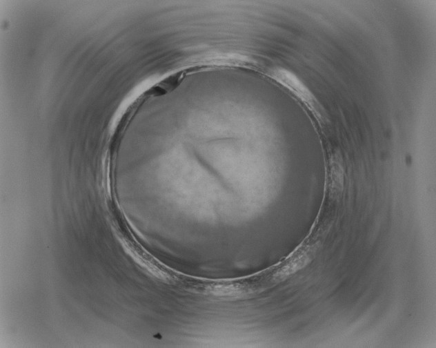 X0000079321128200612151810