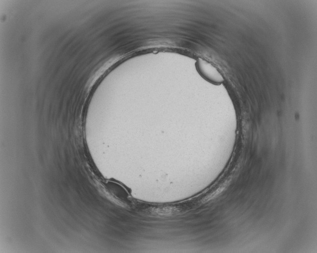 X0000079321129200612151810