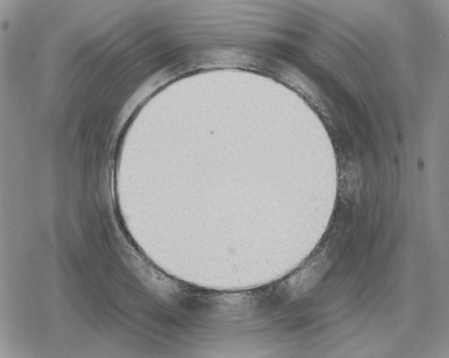 X0000079321130200612151810