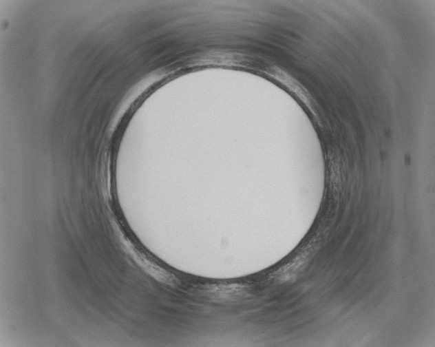 X0000079321131200612151810