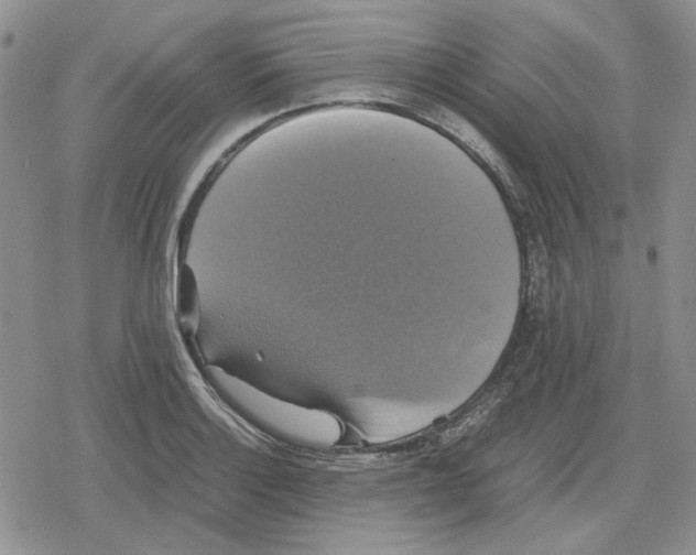 X0000079321132200612151810