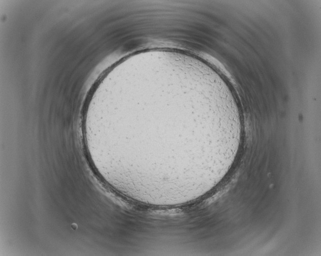 X0000079321133200612151810