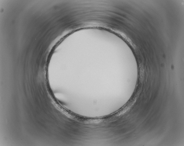 X0000079321134200612151810