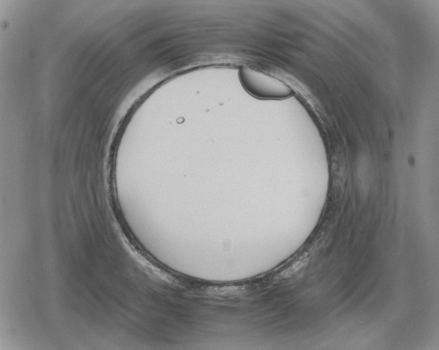 X0000079321135200612151810