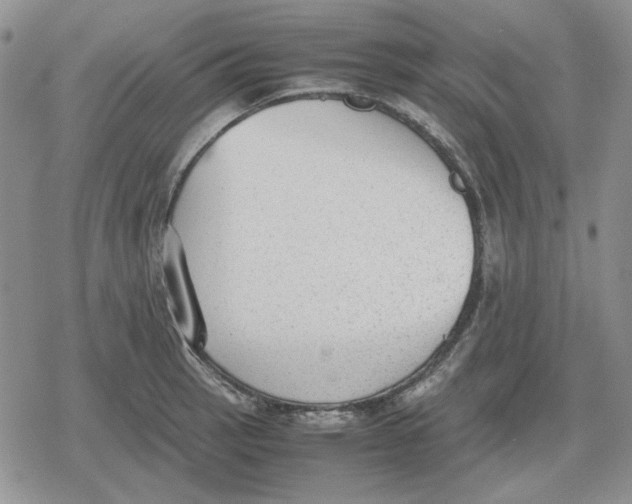 X0000079321137200612151810