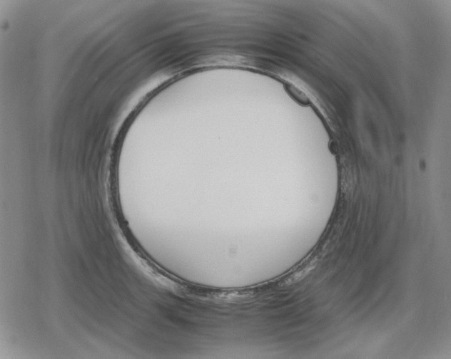 X0000079321139200612151811