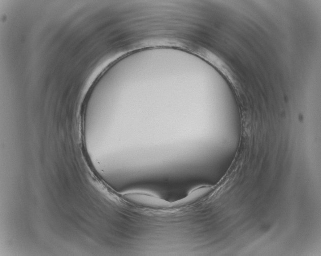 X0000079321140200612151811