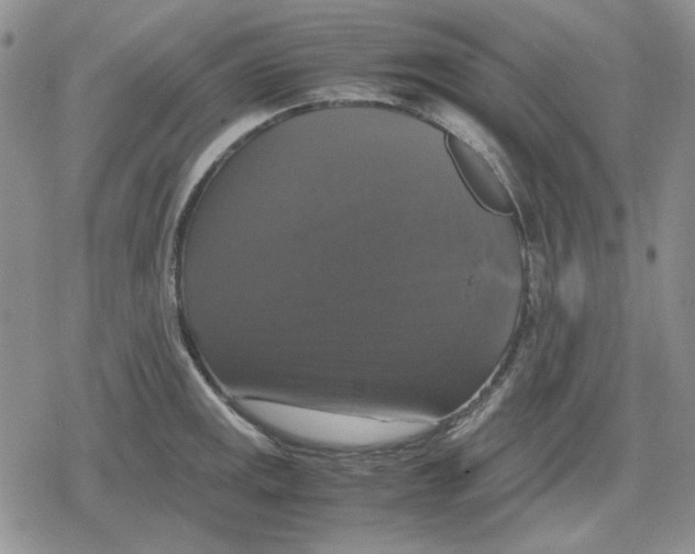 X0000079321141200612151811