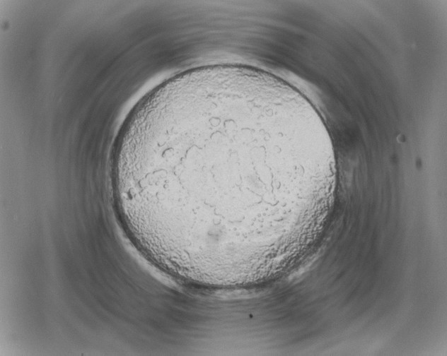 X0000079321142200612151811