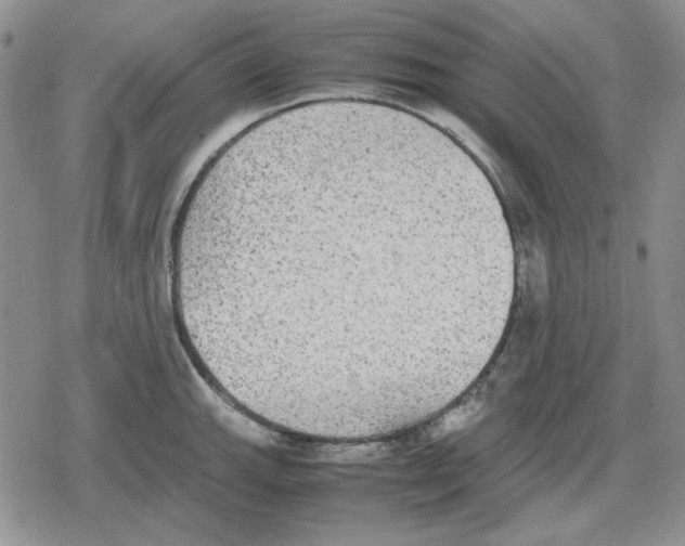 X0000079321143200612151811